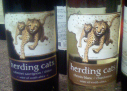 herding cats