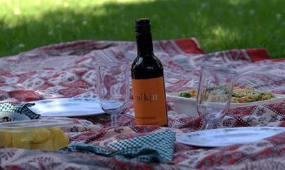 picnic wine