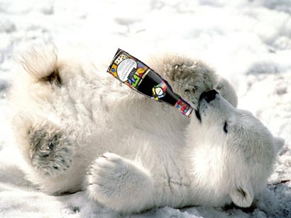 polarbearbojo