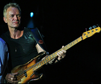 sting_band