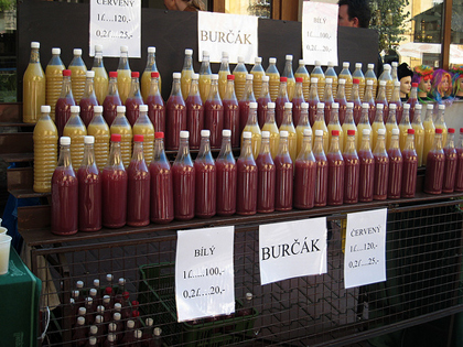 burcak
