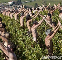 nude_vineyard