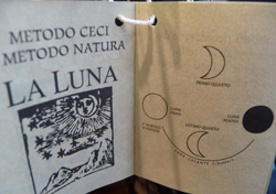 ceci_la_luna
