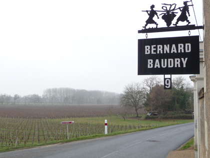 Domaine Baudry Chinon