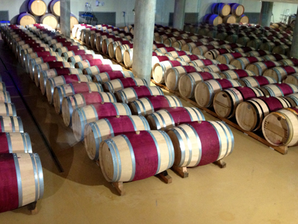 wine_barrels