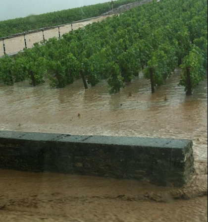 volnay_flooding