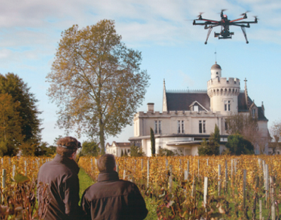 drone vineyard 