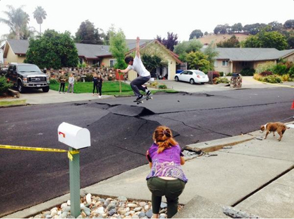 napa_quake_skateboard