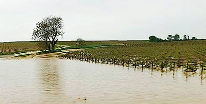 burgundy_flooding