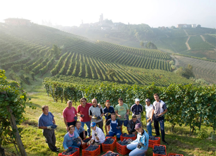 vietti_winery